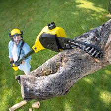 Best Lawn Maintenance Plans  in Andalusia, IL